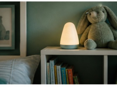 What Is the Home Study Process in a Washington Adoption?