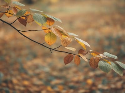 Can I Change My Advance Directive?