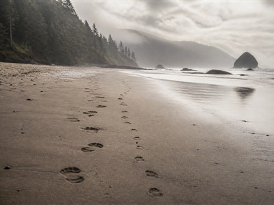How Do I Get Court-Ordered Paternity Testing?