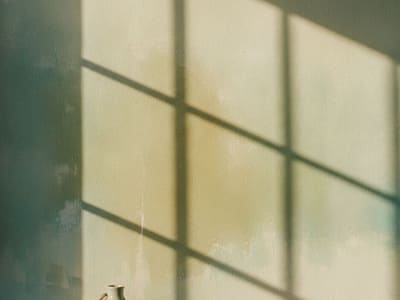 Responding to Divorce and Family Law Papers While Incarcerated in Snohomish County