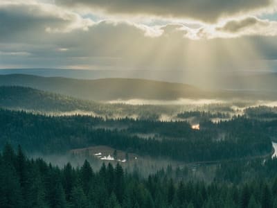 What Happens If Mediation Fails? Your Next Steps in a Snohomish County Family Law Case