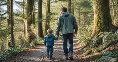 How Do Protection Orders Affect Child Custody in Washington?