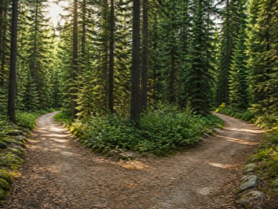 What Is a Revocable vs Irrevocable Trust?