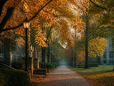 Can Child Support Include College Expenses?