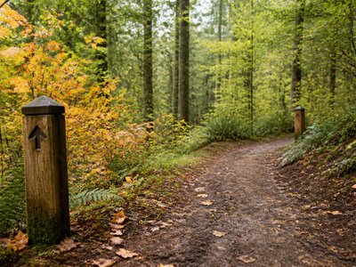 What Is the Difference Between Temporary and Permanent Protection Orders?